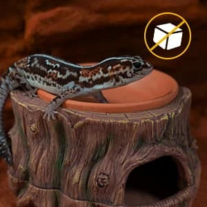 3 in 1 Reptile Hide Cave with Detachable Base and Humidity Dish — collection imagery