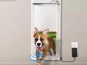 Genuine Power Pet Fully Automatic Pet Door from Brand. Pet Collar Operated — Unique Advanced Features
