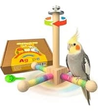 Parrot Chew Toy — Shreddable Cardboard Bird Platform — collection imagery