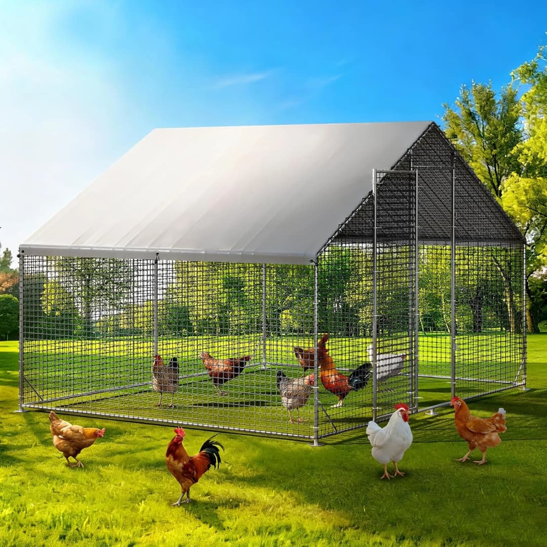 Large Walk-in Chicken Coop with Chicken Run