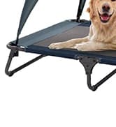 Outdoor Dog Bed — Cooling Elevated Pet Bed Portable Raised Dog Bed with Breathable Mesh — collection imagery