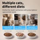 RFID Automatic Cat Feeder — Collar Tag for Personalized Meal