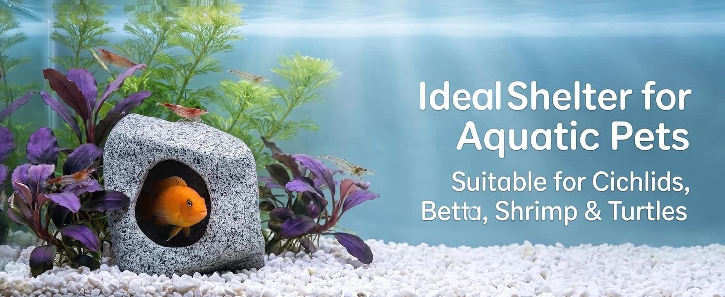 Betta Fish Tank Decor Rock Cave — What problem does this product solve?