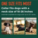 Nova GPS Dog Fence Collar — App-Controlled Wireless Fence
