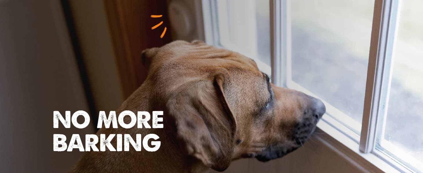 Smart Bell 2.0 Dog Door Bell for Potty Training Dogs and Puppies — collection imagery