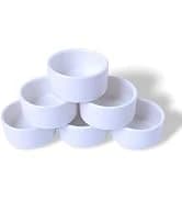 Ceramic Reptile Food Bowls — Reptile Water Food Dish — collection imagery