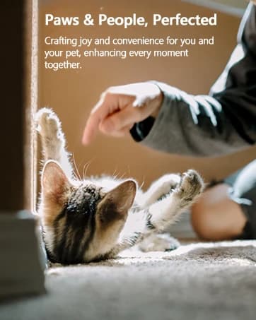 Automatic Cat Feeder — 4L Timed Dry Food Dispenser for Cats and Dogs — collection imagery