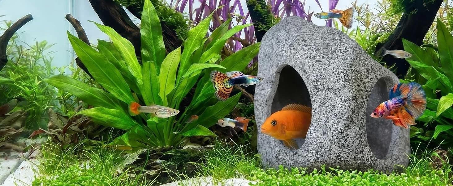 Betta Fish Tank Decor Rock Cave — Application scenarios – community tanks and small fish
