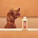 Clean Day 3 in 1 Dog Shampoo