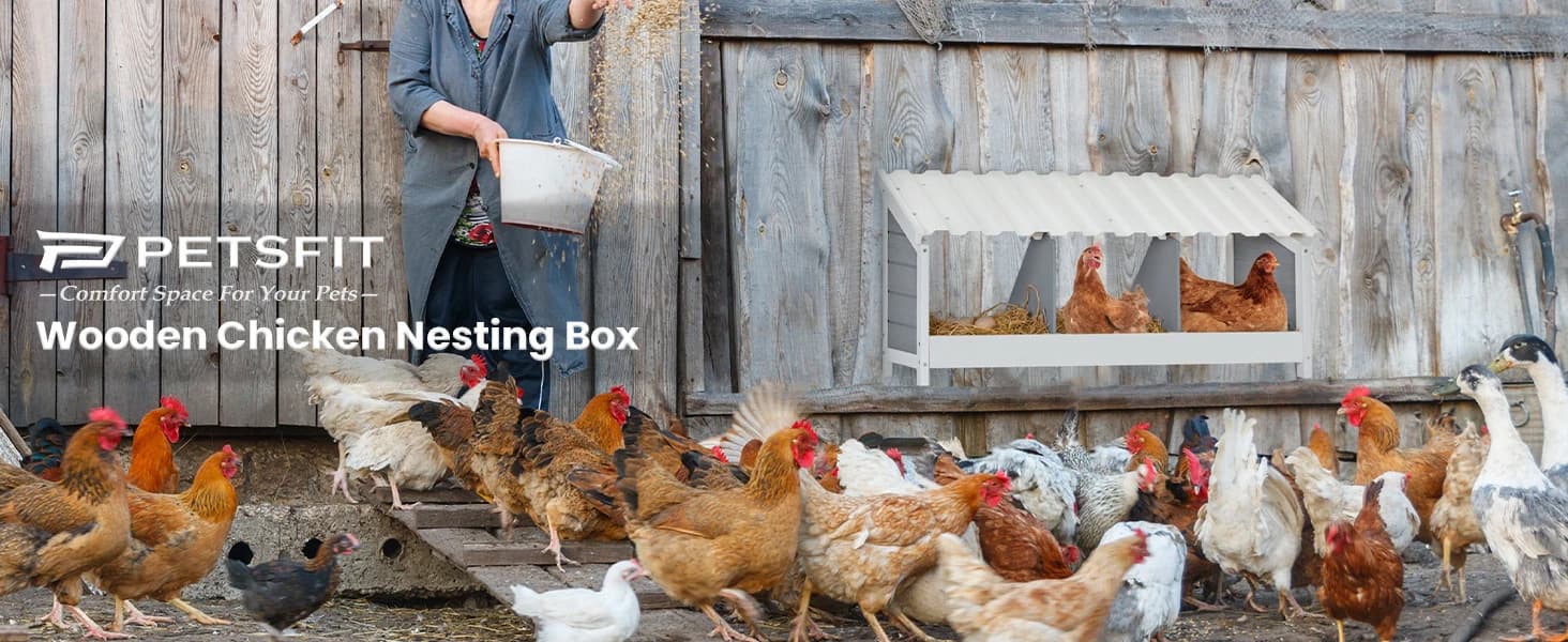 4 Holes Chicken Nesting Box — PVC Waterproof Roof — product details