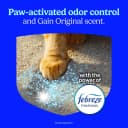 Advanced Odor Shield Clumping Cat Litter with Gain — Style: Advanced Litter / Size: 18.5 lb (Pack of 2)