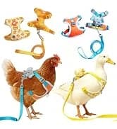 2PCS Ferret Harness and Leash — Adjustable Guinea Pig Harness — collection imagery