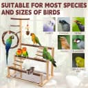 Bird Playground Wooden Parrot Stand for Small and Medium Birds
