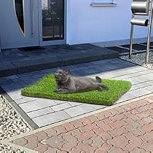 Artificial Grass — 47.3"x31.5" Professional Dog Grass Mat — Multiple Purposes