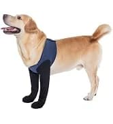 Dog Lift Harness, Pet Support and Rehabilitation Sling Lift Adjustable Padded Breathable Straps for Old — collection imagery