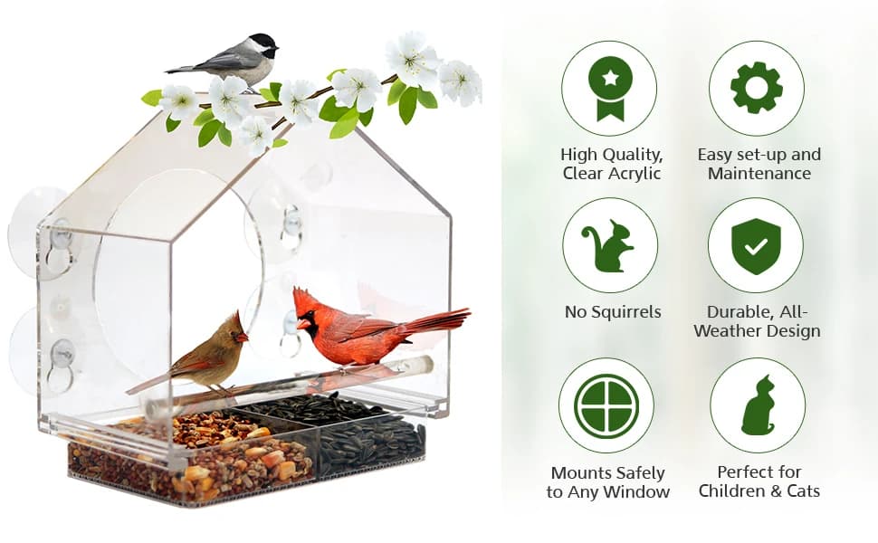 Window Bird Feeder with Strong Suction Cups — product details