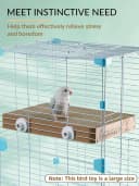 7.3 Inch Paper Bird Toys — Bird Platform