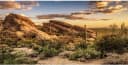 36x18 in Desert Reptile Habitat Backdrop — Oasis Cactus Terrarium Background