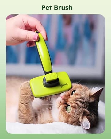 Cat Backpack Expandable — Cat Carrier Backpack with Breathable Window — collection imagery