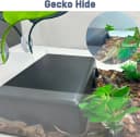Reptile Hide Box — Snake and Gecko Hide