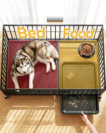 48'' Heavy Duty Dog Crates for Large Dogs — collection imagery