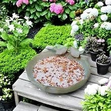 Ceramic Bird Bath for Outside on Ground — 9.45-Inch Birds Bath Bowl Only — Different scene