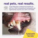 Professional Pet Toothbrush — 45° Cats + Dogs