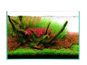 Aquarium Soil for Planted Tanks — Nutrient-Rich Organic Formula