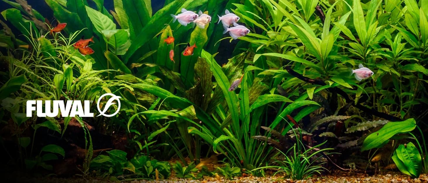 12696 Volcanic Soil Bio Stratum for Planted Tanks — collection imagery