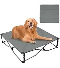 Outdoor Dog Bed — Cooling Elevated Pet Bed Portable Raised Dog Bed with Breathable Mesh — collection imagery