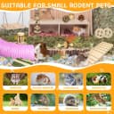 40 PCS Hamster Toys Set — Guinea Pig Toys Enrichment Hamster Tubes and Tunnels