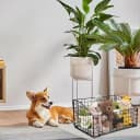 Dog Toy Basket Metal — Dog Toy Box