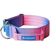 Dog Cooling Vest - Evaporative Summer Cooling — collection imagery
