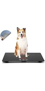 Digital Pet Scale for Small Animal — product details