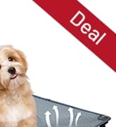 Outdoor Dog Bed — Cooling Elevated Pet Bed Portable Raised Dog Bed with Breathable Mesh — collection imagery