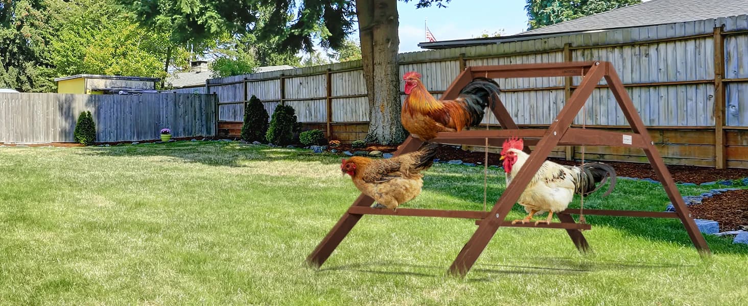 4 Holes Chicken Nesting Box — PVC Waterproof Roof — product details