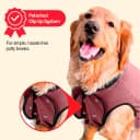 Dog Surgery Recovery Suit — Male Female After Spay Neuter Onesie