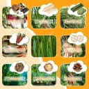 40 PCS Hamster Toys Set — Guinea Pig Toys Enrichment Hamster Tubes and Tunnels