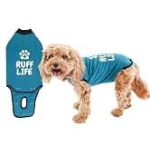 Dog Surgery Recovery Suit — Male Female After Spay Neuter Onesie — collection imagery