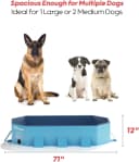 Dog Pool for Large Dogs — Foldable Hard Plastic
