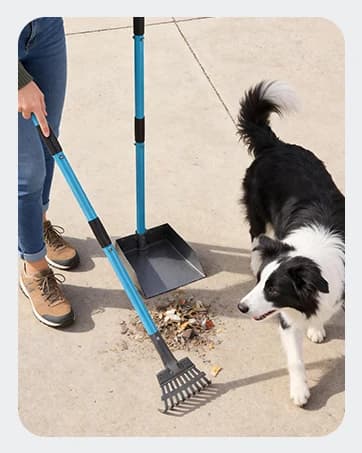 Dog Pooper Scooper — Stainless Metal Poop Scooper for Yard Long Handle — collection imagery