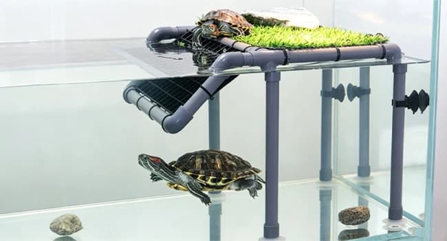 Extra Large Turtle Basking Platform with Artificial Grass — Artificial Turf