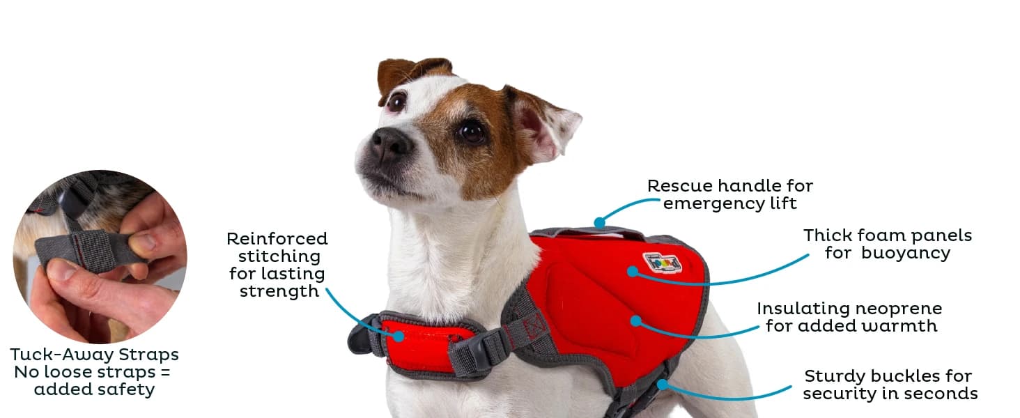Dawson Swim Dog Life Jacket — Life Vest — collection imagery
