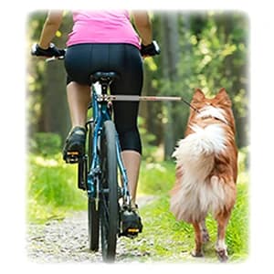 WalkyDog Plus Dog Bicycle Leash for Bike — product details