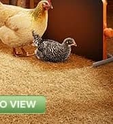 Smart Chicken Coop Heater — 200W Radiant Heat Panel with Temperature Sensor — collection imagery