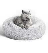 Dog Stairs for High Bed, Foldable Pet Stairs for Small and Medium or Large Dogs Puppy with Storage for Bed or — collection imagery
