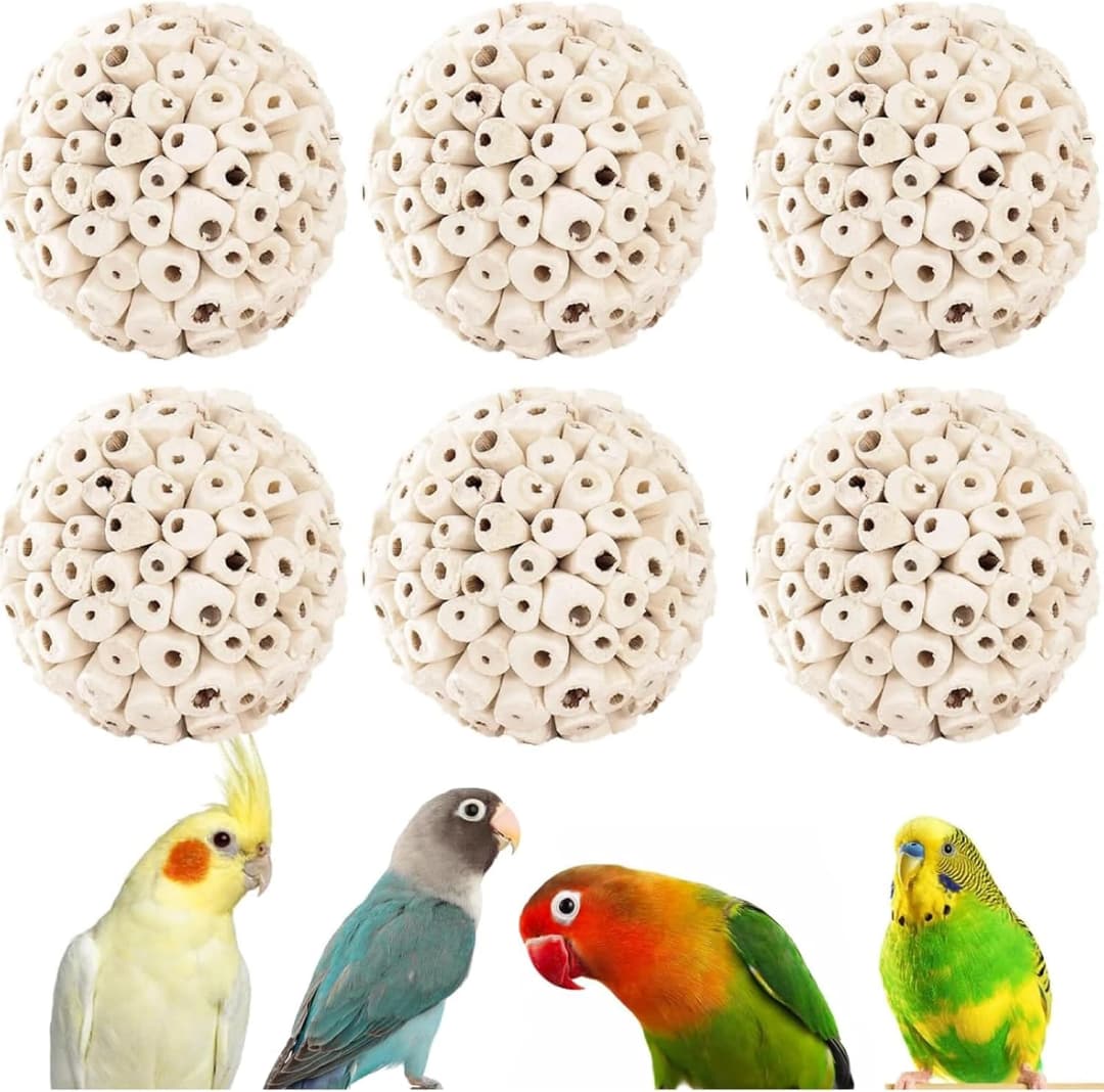 Bird Toys Sola Balls 2.36'' - 6PCS — Bird Foraging Toy