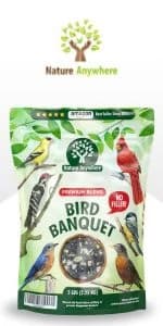 Window Bird Feeder with Strong Suction Cups — product details