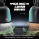 Reptile Light Fixture — 2 Packs 5.5 Inch Deep Dome Lampshade
