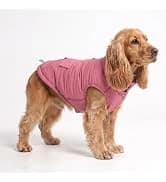 Dog Cooling Vest - Evaporative Summer Cooling — collection imagery